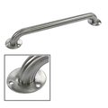 Furnorama 42 Inch Exposed Flange Ada Grab Bar - Stainless Steel FU773177